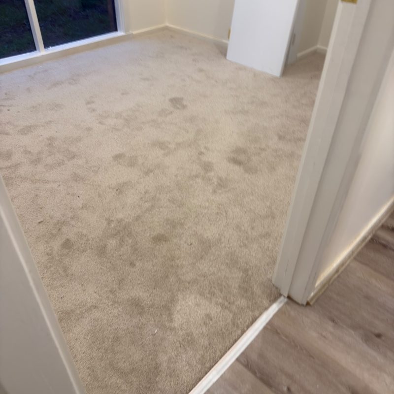 Carpet Installation Cranbourne